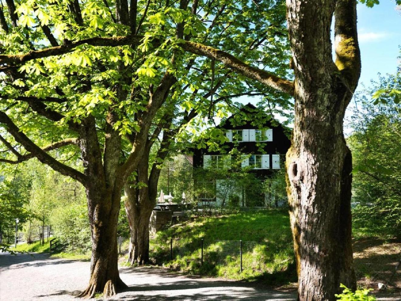 B&B Langenberg Langnau am Albis Kültér fotó